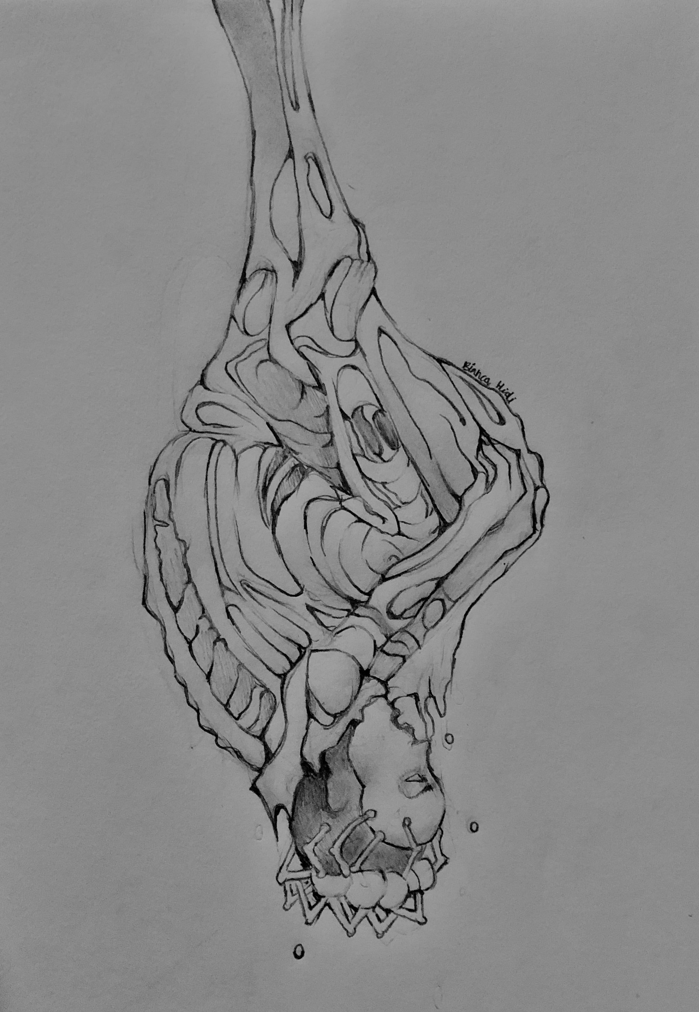 Cocoon