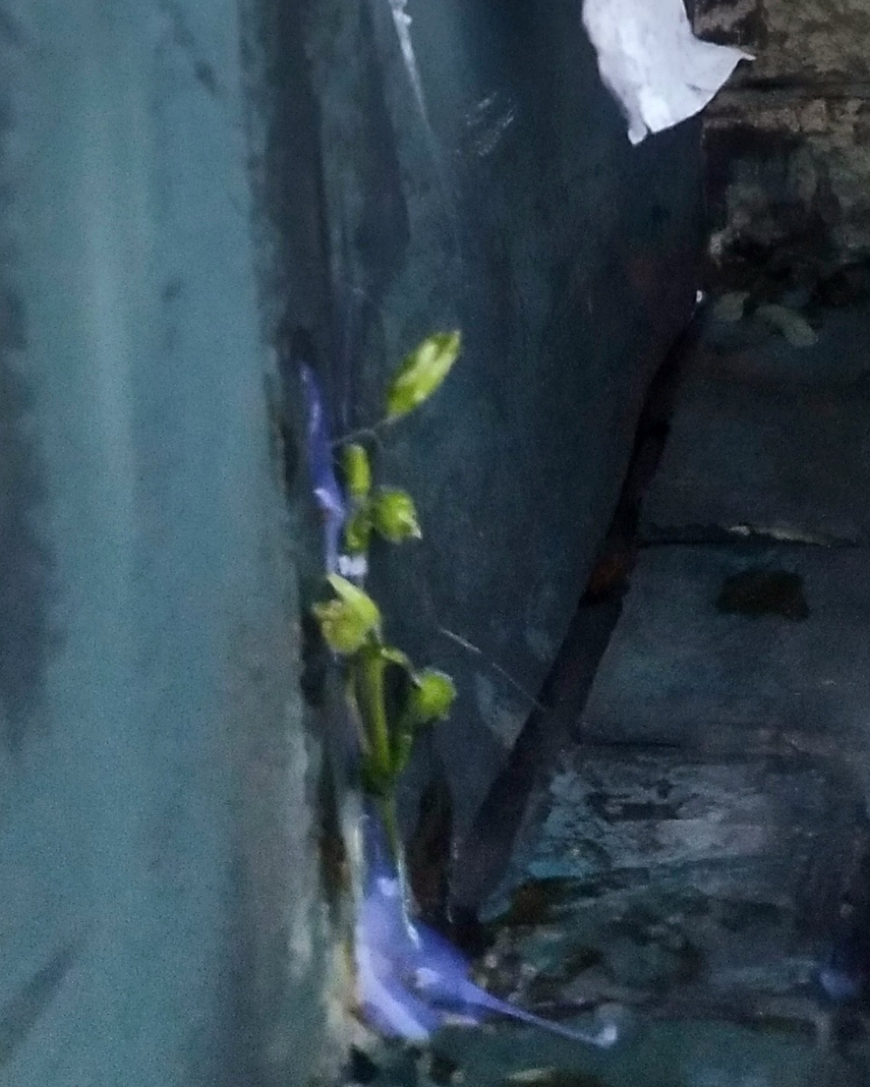 Through The Cracks