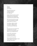 Whispers of Chaos, Promise of Peace